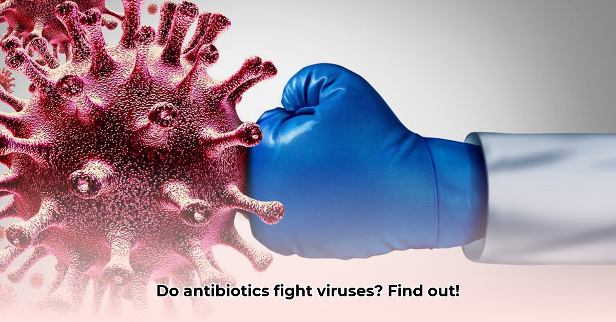 helpt-antibiotica-tegen-een-virus